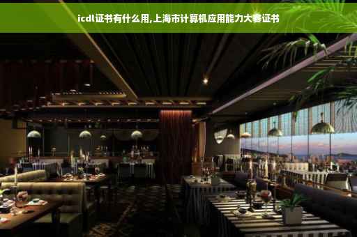 icdl证书有什么用,上海市计算机应用能力大赛证书 icdl证书有什么用,上海市计算机应用能力大赛证书