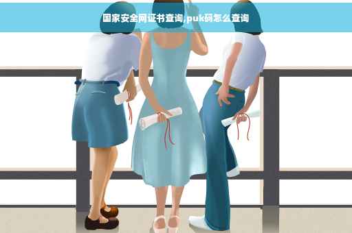国家安全网证书查询,puk码怎么查询