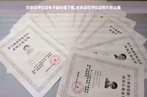 毕业证学位证电子版在哪下载,毕业证和学位证照片怎么查