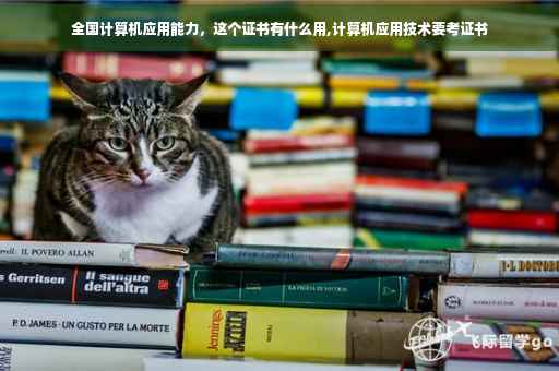 全国计算机应用能力，这个证书有什么用,计算机应用技术要考证书