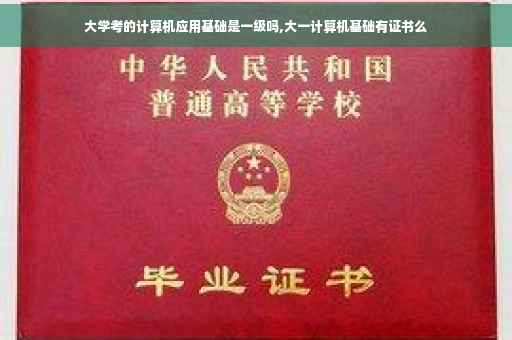 大学考的计算机应用基础是一级吗,大一计算机基础有证书么