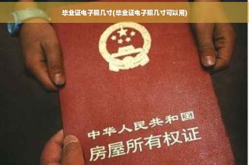 毕业证电子照几寸(毕业证电子照几寸可以用)