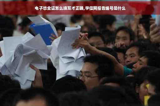 电子毕业证怎么填写才正确,学信网报告编号是什么
