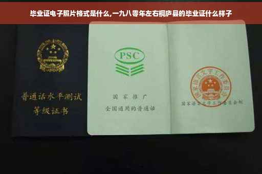 毕业证电子照片格式是什么,一九八零年左右桐庐县的毕业证什么样子