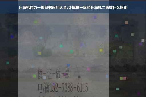 计算机能力一级证书图片大全,计算机一级和计算机二级有什么区别