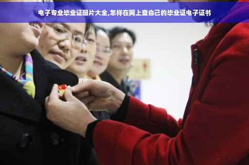 电子专业毕业证图片大全,怎样在网上查自己的毕业证电子证书