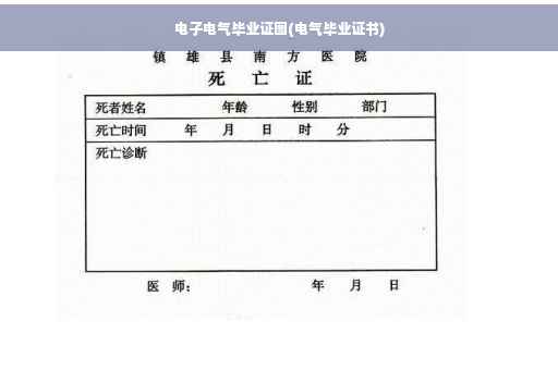 电子电气毕业证图(电气毕业证书)