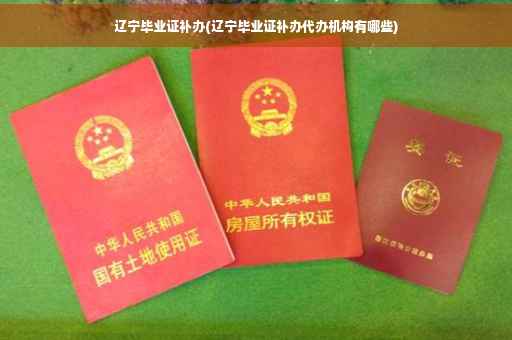 辽宁毕业证补办(辽宁毕业证补办代办机构有哪些)