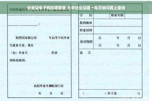 毕业证电子档在哪里查,大学毕业证哪一年开始可网上查询