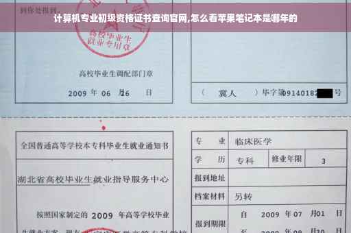 计算机专业初级资格证书查询官网,怎么看苹果笔记本是哪年的