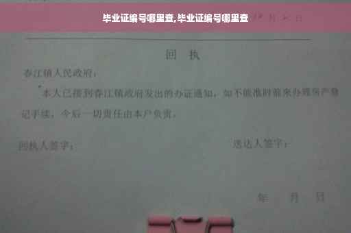 毕业证编号哪里查,毕业证编号哪里查