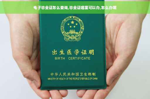 电子毕业证怎么查询,毕业证哪里可以办,怎么办呢