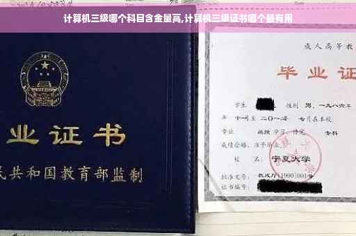 计算机三级哪个科目含金量高,计算机三级证书哪个最有用