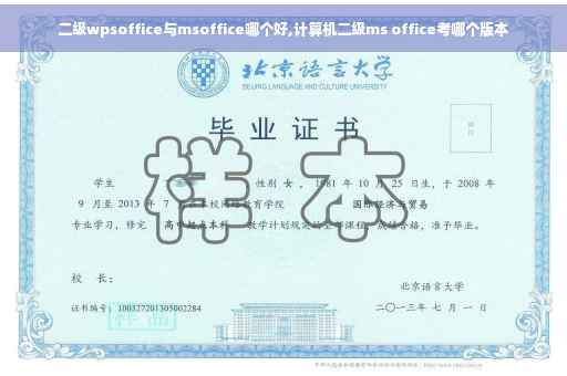 二级wpsoffice与msoffice哪个好,计算机二级ms office考哪个版本