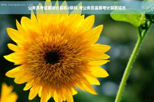 公务员考试要求计算机2级吗,考公务员需要考计算机证书