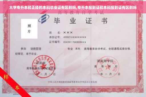 大学专升本和正经的本科毕业证有区别吗,专升本报到证和本科报到证有区别吗