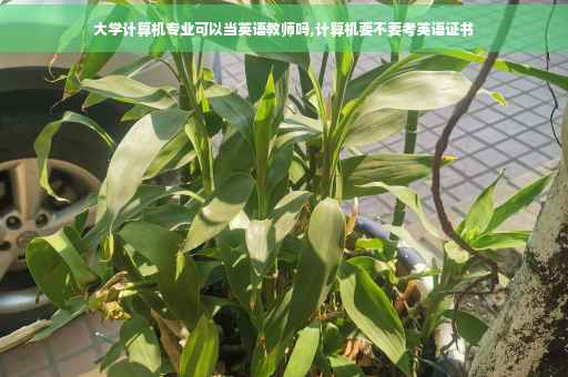 大学计算机专业可以当英语教师吗,计算机要不要考英语证书