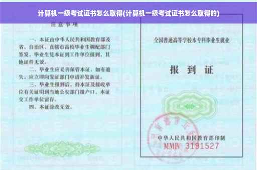 计算机一级考试证书怎么取得(计算机一级考试证书怎么取得的)
