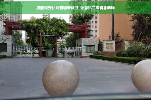技能提升补贴有哪些证书-计算机二级有补助吗