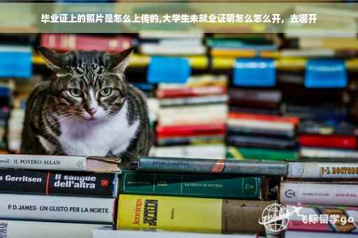 毕业证上的照片是怎么上传的,大学生未就业证明怎么怎么开，去哪开