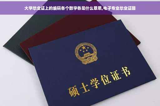 大学毕业证上的编码各个数字各是什么意思,电子专业毕业证图