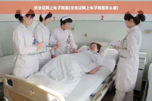 毕业证网上电子档案(毕业证网上电子档案怎么查)
