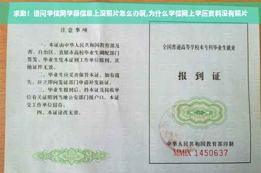 求助！请问学信网学籍信息上没照片怎么办啊,为什么学信网上学历资料没有照片