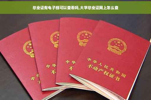 毕业证有电子档可以查看吗,大学毕业证网上怎么查