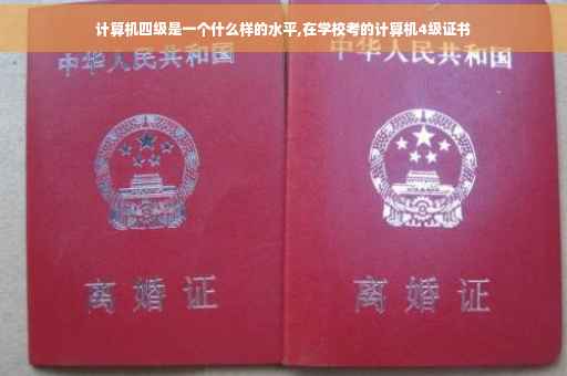 计算机四级是一个什么样的水平,在学校考的计算机4级证书