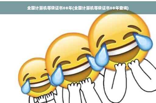 全国计算机等级证书08年(全国计算机等级证书08年查询)