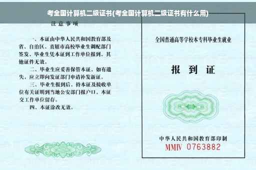 考全国计算机二级证书(考全国计算机二级证书有什么用)