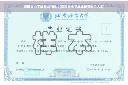 蓝田县小学毕业证书图片(蓝田县小学毕业证书图片大全)