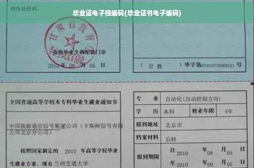 毕业证电子档编码(毕业证书电子编码)