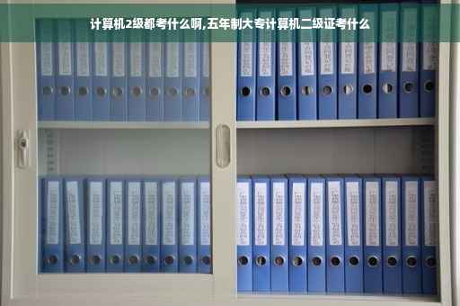 计算机2级都考什么啊,五年制大专计算机二级证考什么