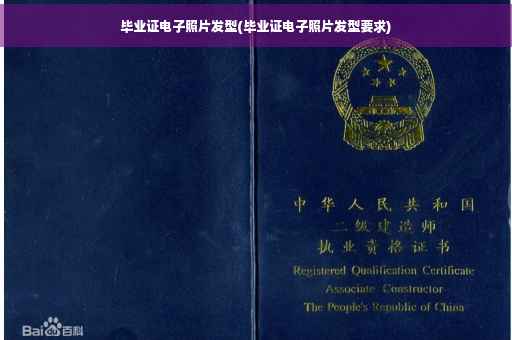 毕业证电子照片发型(毕业证电子照片发型要求)
