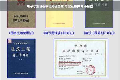 电子毕业证在学信网哪里找,毕业证原件 电子备案