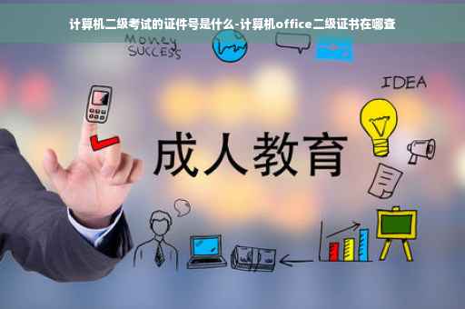 计算机二级考试的证件号是什么-计算机office二级证书在哪查