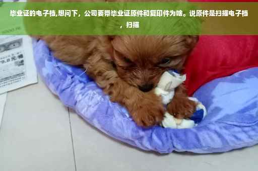 毕业证的电子档,想问下，公司要带毕业证原件和复印件为啥。说原件是扫描电子档，扫描