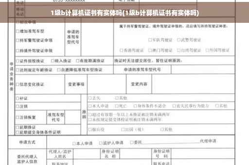 1级b计算机证书有实体吗(1级b计算机证书有实体吗)