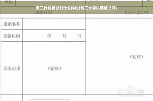 省二计算机证书什么样的(省二计算机有证书吗)