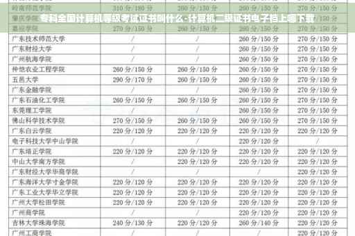 专科全国计算机等级考试证书叫什么-计算机二级证书电子档上哪下载