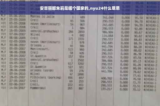 安吉丽娜朱莉是哪个国家的,nyu24什么意思