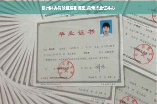 泉州补办驾驶证要到哪里,泉州毕业证补办