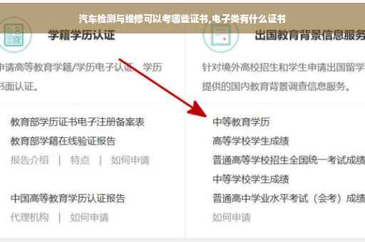 汽车检测与维修可以考哪些证书,电子类有什么证书