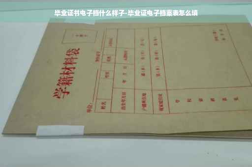 毕业证书电子档什么样子-毕业证电子档案表怎么填