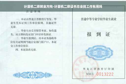 计算机二级就业方向-计算机二级证书毕业找工作有用吗