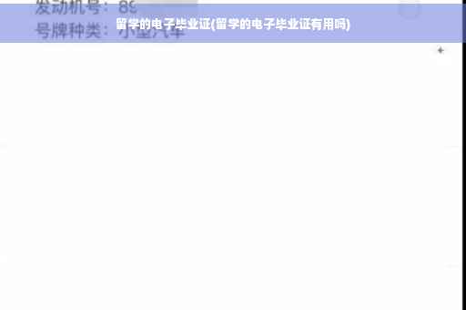 留学的电子毕业证(留学的电子毕业证有用吗)