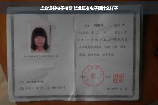 毕业证书电子档案,毕业证书电子档什么样子