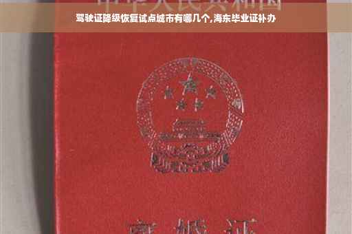 驾驶证降级恢复试点城市有哪几个,海东毕业证补办