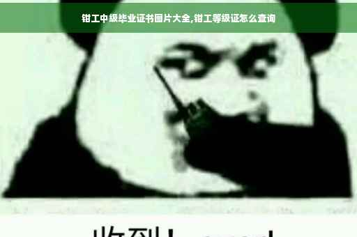 钳工中级毕业证书图片大全,钳工等级证怎么查询